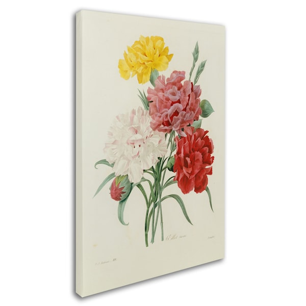 Joseph Redoute 'Carnations From Choix' Canvas Art,30x47